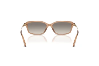 [glasses-back-view] Ralph Lauren RL8245U (637708)