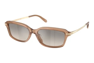[glasses-front-view] Ralph Lauren RL8245U (637708)
