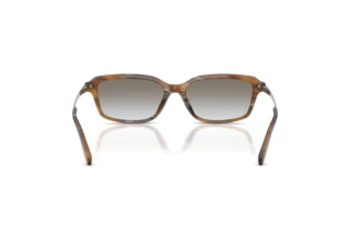 [glasses-back-view] Ralph Lauren RL8245U (637911)