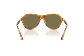 [glasses-back-view] Ralph Lauren RL8247U (618573)