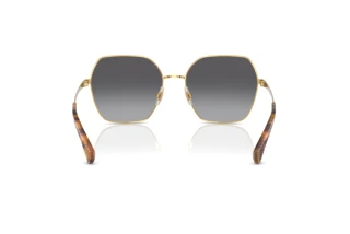 Vista posterior Ralph RA4138 (9004T3)