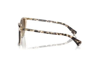 Sidovy Ralph VVCV (RA5293 - 6072T5)