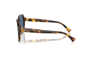 [glasses-side-view] Ralph RA5304U (513480)