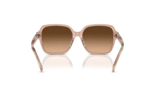 Vista posterior Ralph RA5304U (611474)