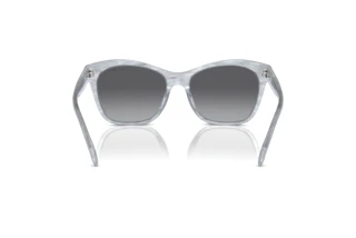 Vy bakifrån Ralph RA5310U (6154T3)