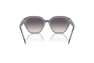 Vista posterior Ralph RA5315U (606636)