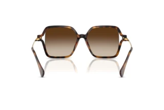 Vista posterior Ralph RA5319U (500313)