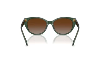 Vista posterior Ralph RA5324U (6206T5)