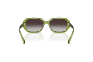 Vy bakifrån Ralph RA5325U (62228G)