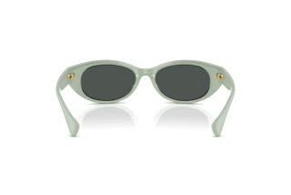 Vedere din spate Ralph RA5327U (621487)