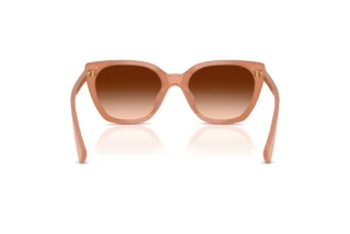 Vista posterior Ralph RA5330U (623774)