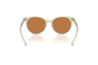 Vista posterior Ralph RA5331U (604973)