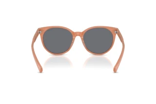 Vista posterior Ralph RA5331U (623787)