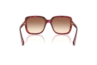 Vista posterior Ralph RA5333U (623913)