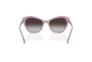 Vedere din spate Ralph RA5337U (62388G)