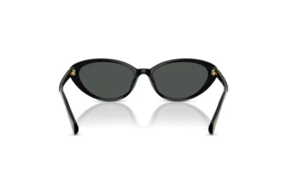 [glasses-back-view] Ralph RA5338U (500187)