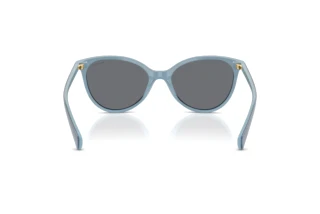 Vedere din spate Ralph RA5339U (629287)