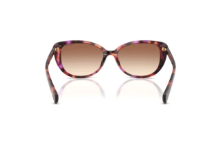 Vedere din spate Ralph RA5340U (623913)