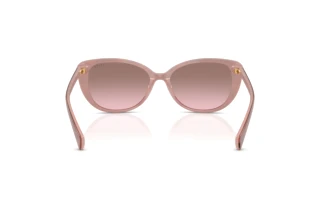 Vista posterior Ralph RA5340U (62919T)