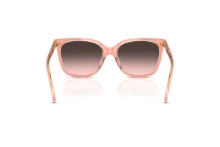 [glasses-back-view] Ralph RA5343U (629646)