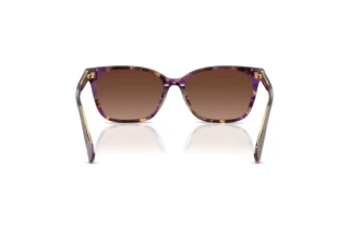 [glasses-back-view] Ralph RA5348U (6303T5)