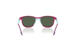 Πίσω όψη Ray-Ban Kids RJ9077S (719271)