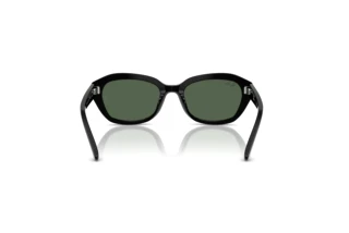 Πίσω όψη Ray-Ban Kids RJ9081S (100/71)