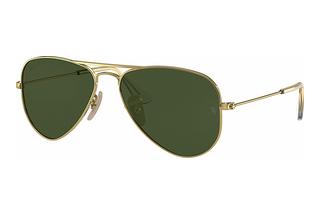 Ray-Ban Kids RJ9506S 223/2P