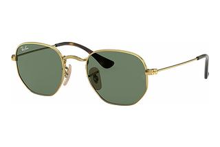 Ray-Ban Kids RJ9541SN 223/71