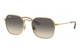 Ray-Ban Kids RJ9594S 292/11 GreyArista Gold