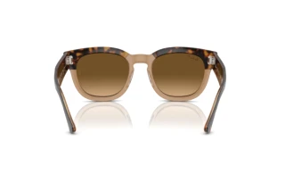 Vista posterior Ray-Ban MEGA HAWKEYE (RB0298S - 1292M2)