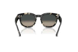 Vista posterior Ray-Ban MEGA HAWKEYE (RB0298S - 133371)