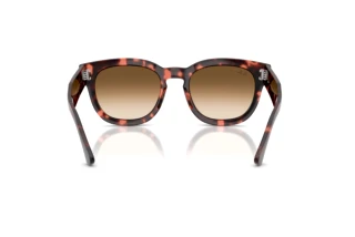 Vista posterior Ray-Ban MEGA HAWKEYE (RB0298S - 133451)