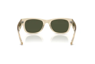 [glasses-back-view] Ray-Ban MEGA WAYFARER II (RB0832S - 146031)