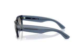 [glasses-side-view] Ray-Ban MEGA WAYFARER II (RB0832S - 684532)