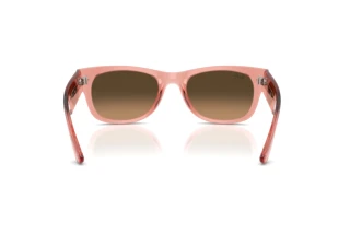 [glasses-back-view] Ray-Ban MEGA WAYFARER II (RB0832S - 684843)