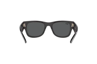 [glasses-back-view] Ray-Ban MEGA WAYFARER (RB0840S - 1390B1)