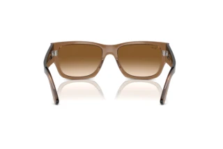 Vista posterior Ray-Ban CARLOS (RB0947S - 664051)