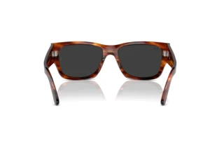 Vista posterior Ray-Ban CARLOS (RB0947S - 954/48)