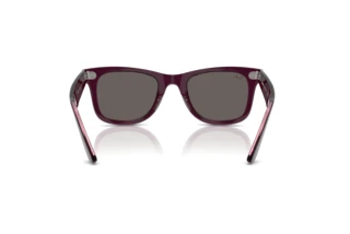 [glasses-back-view] Ray-Ban WAYFARER (RB2140 - 1447B1)