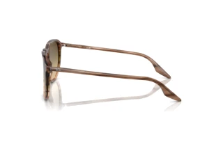 Sidovy Ray-Ban RB2203 (13920A)