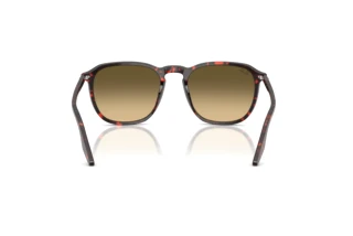 Vista posterior Ray-Ban RB2203 (14290A)