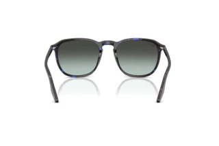 Vista posterior Ray-Ban RB2203 (1430GK)