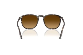Vista posterior Ray-Ban RB2203 (143185)