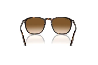 Vista posterior Ray-Ban RB2203 (902/51)