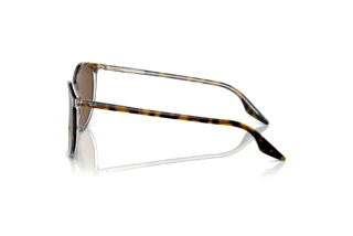 Vista lateral Ray-Ban RB2204 (139357)