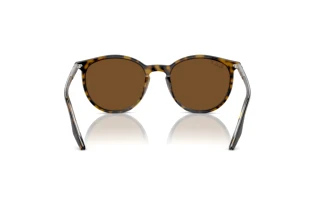 Vista posterior Ray-Ban RB2204 (139357)