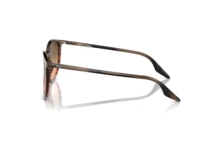 Vista lateral Ray-Ban RB2204 (13953B)