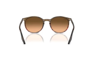Vista posterior Ray-Ban RB2204 (13953B)