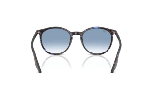 Vista posterior Ray-Ban RB2204 (14303F)